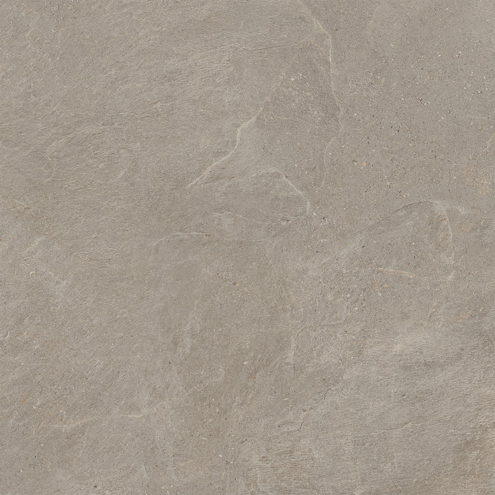 Taupe Porcelain Tile in Matte Finish