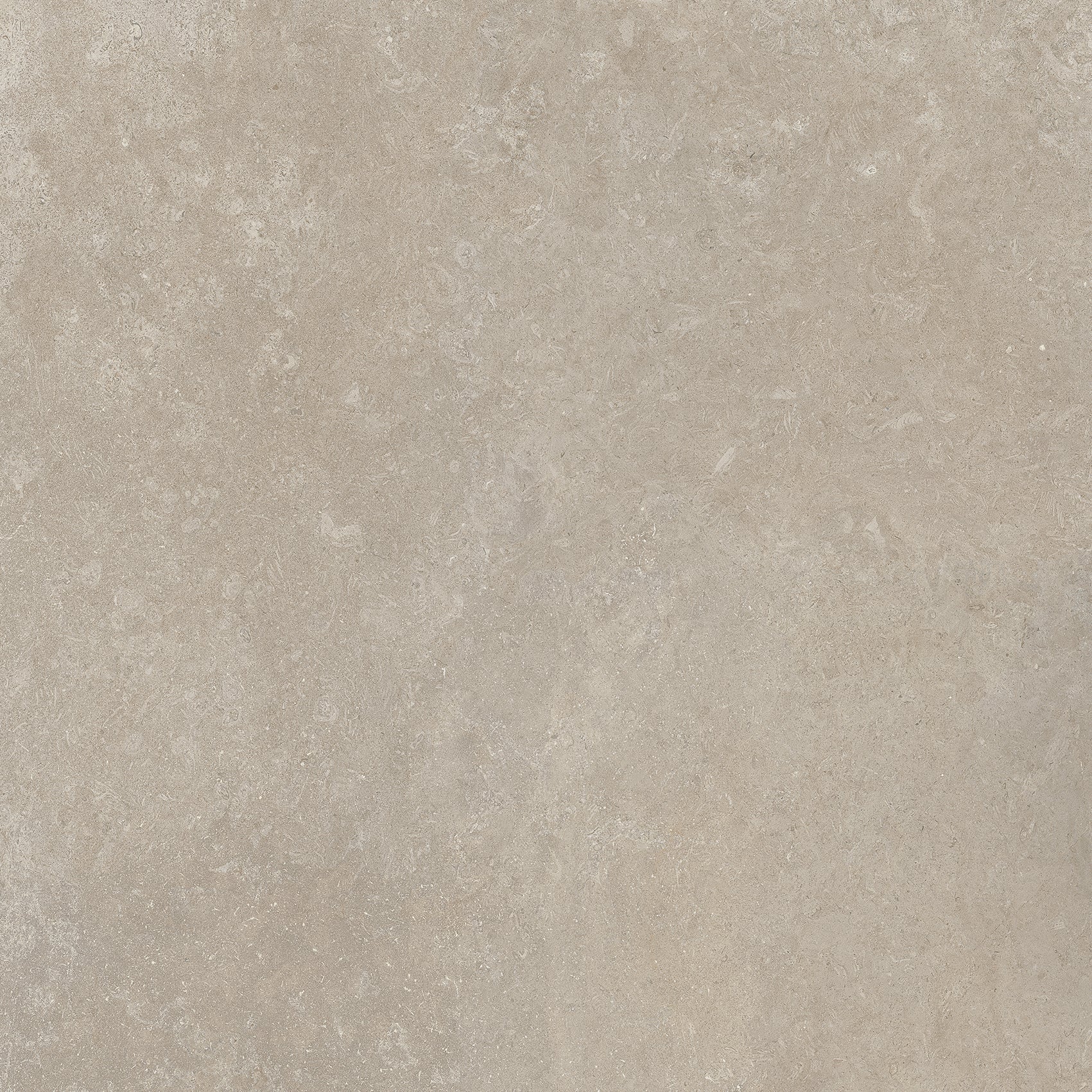 Pietra Porcelain Tile Sample