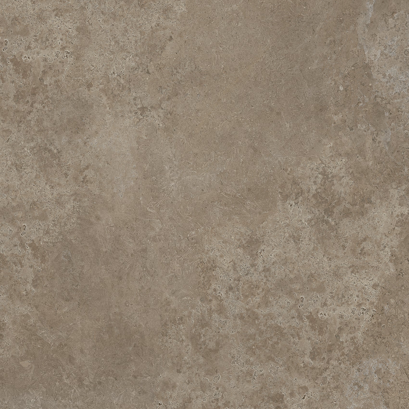 Tortora Tile Sample