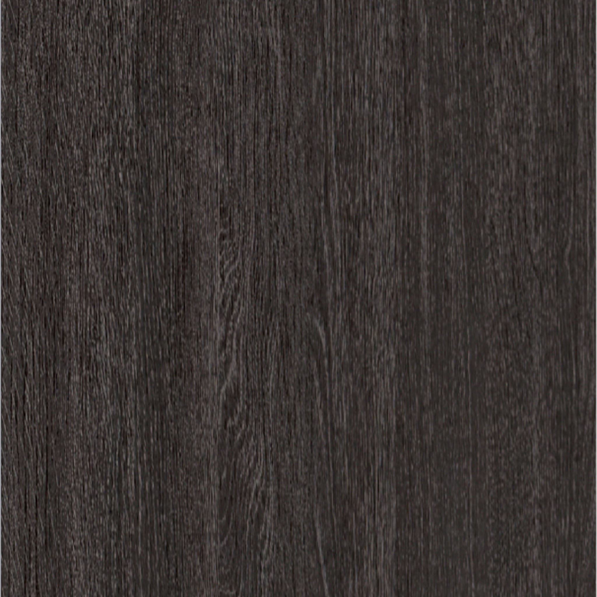 Aged Oak Wood Sample