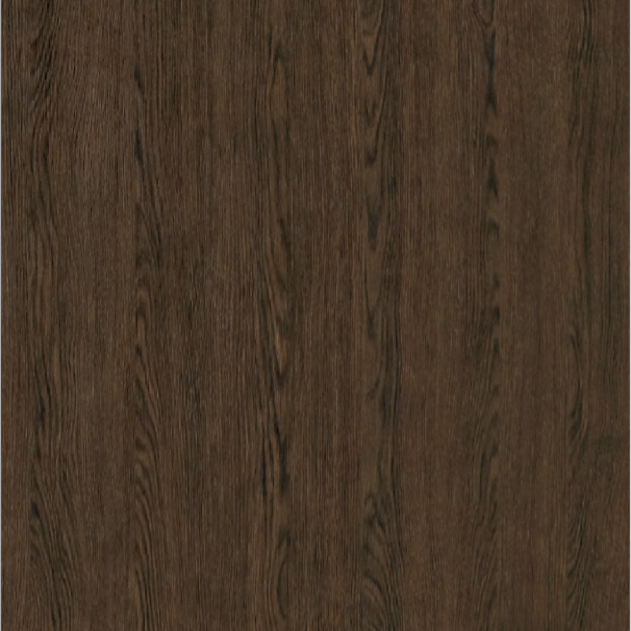 Amber Oak Wood Sample