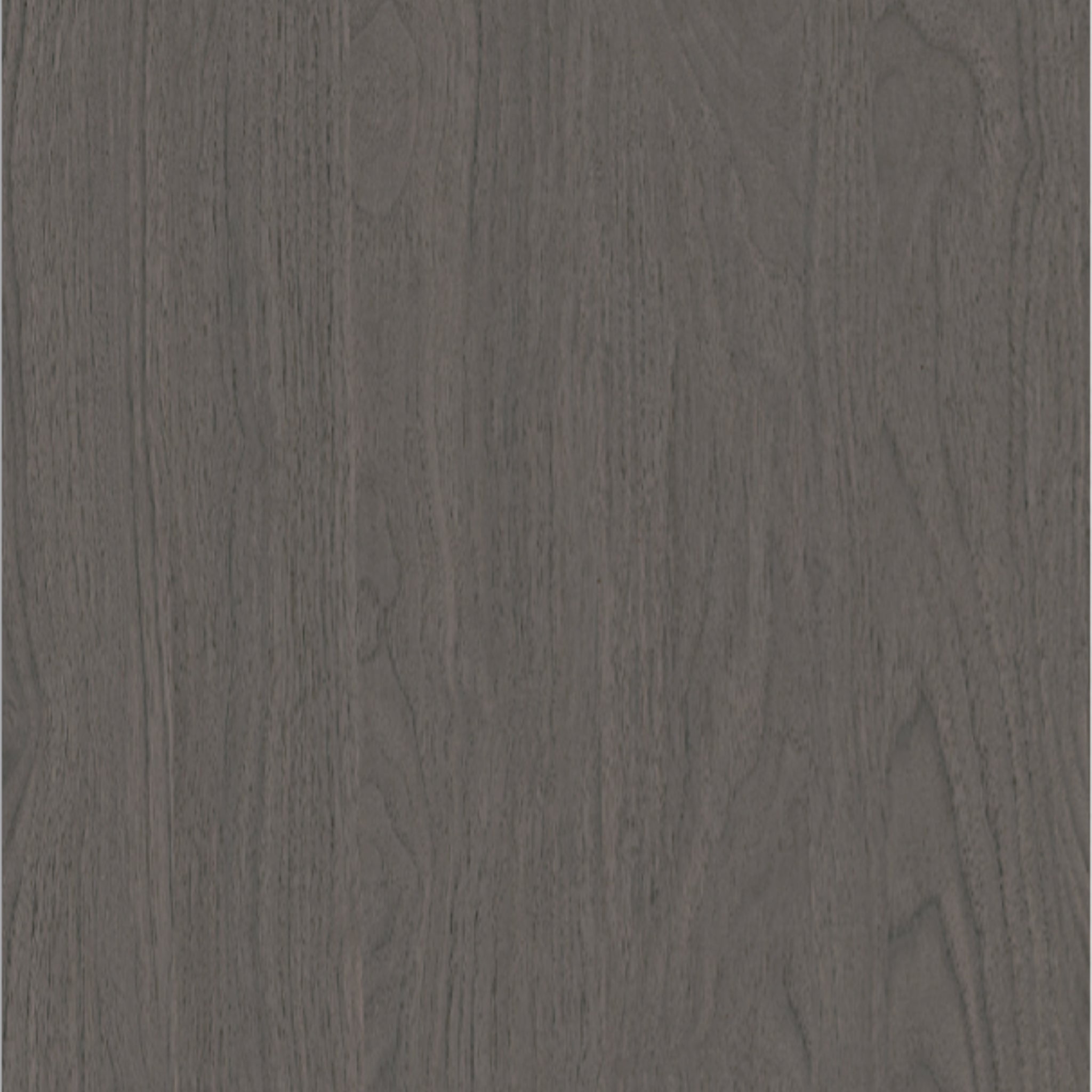 Black Walnut Wood Sample