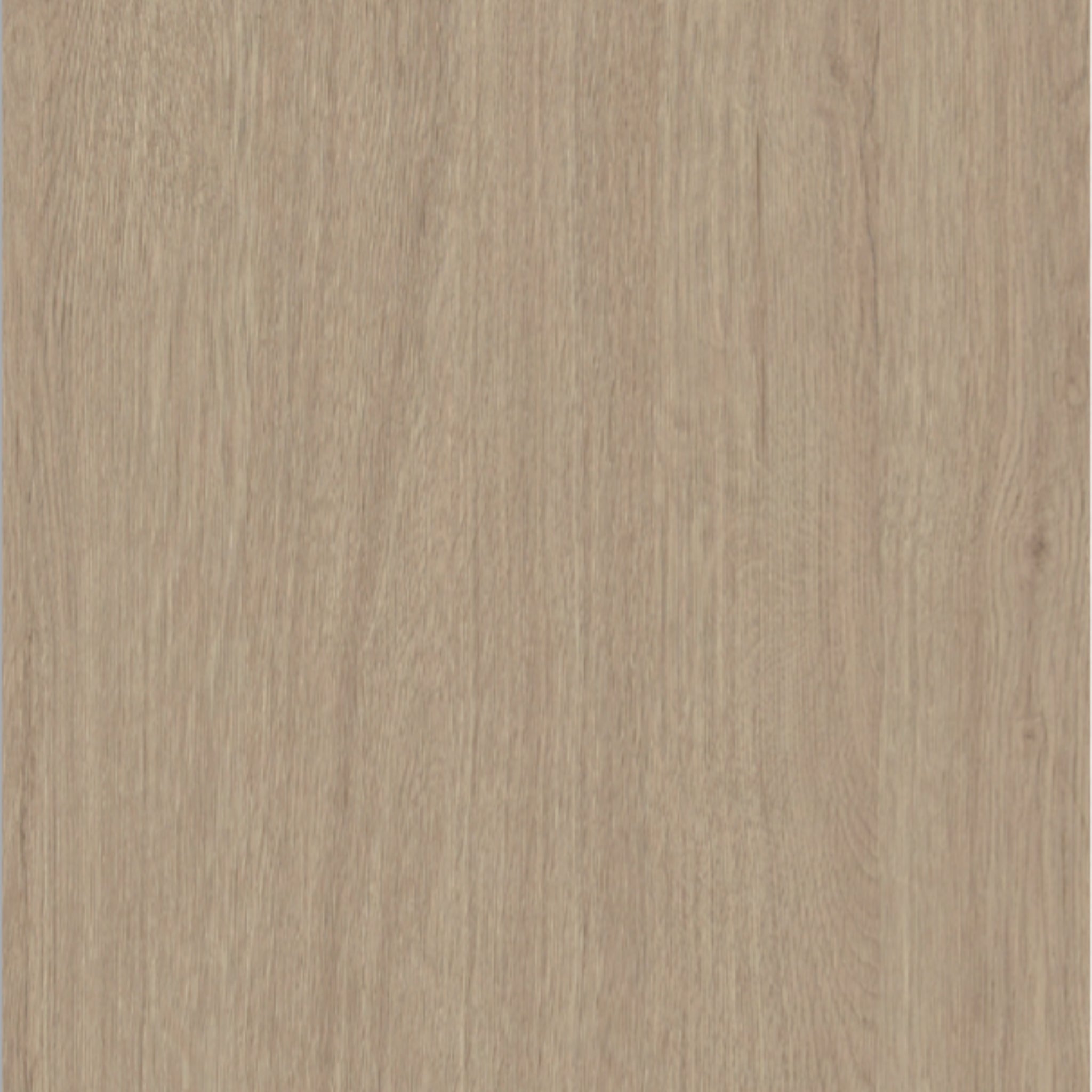 Soft Oak Wood Sample