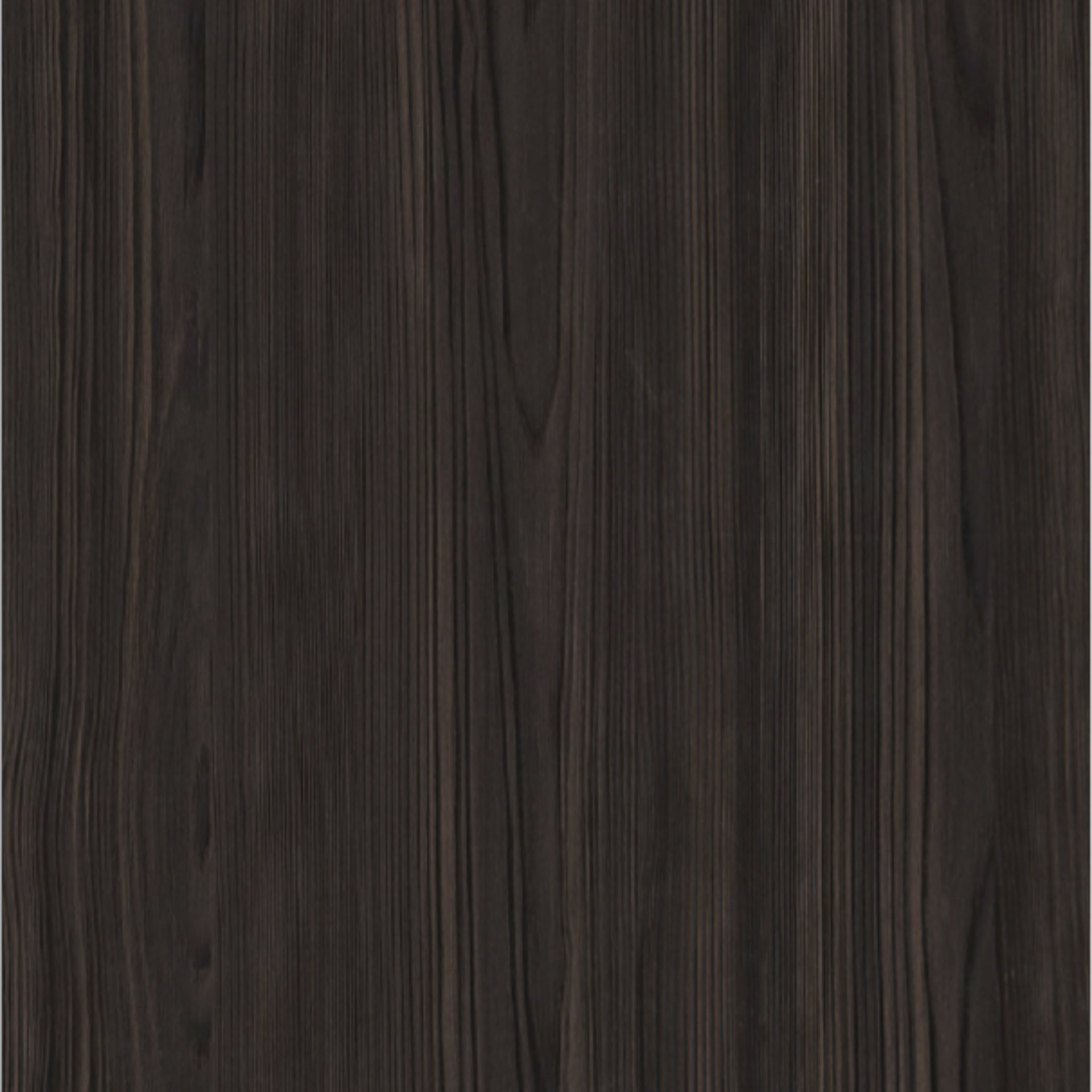 Walnut Charcoal Wood Sample