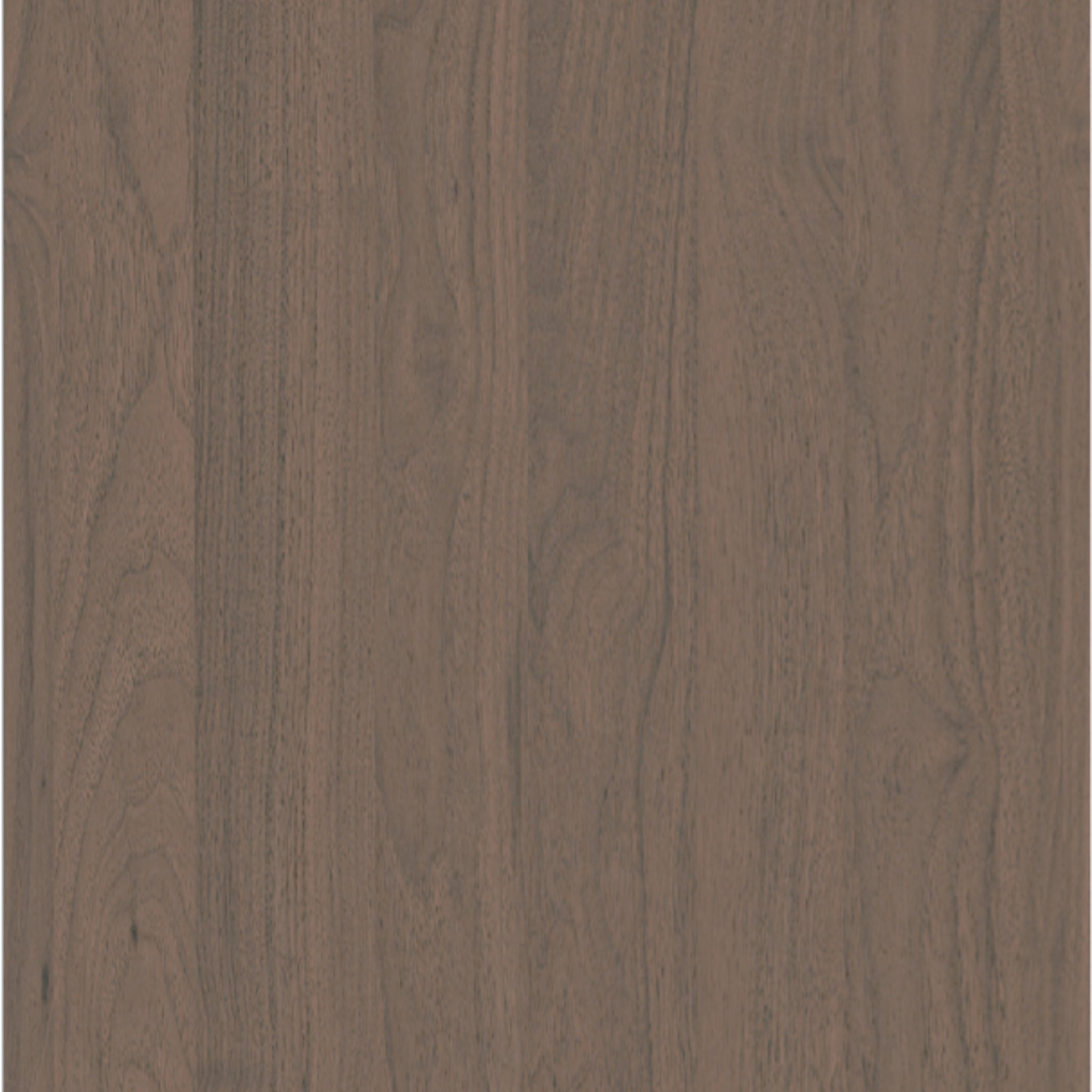 Walnut Cocoa Wood Sample