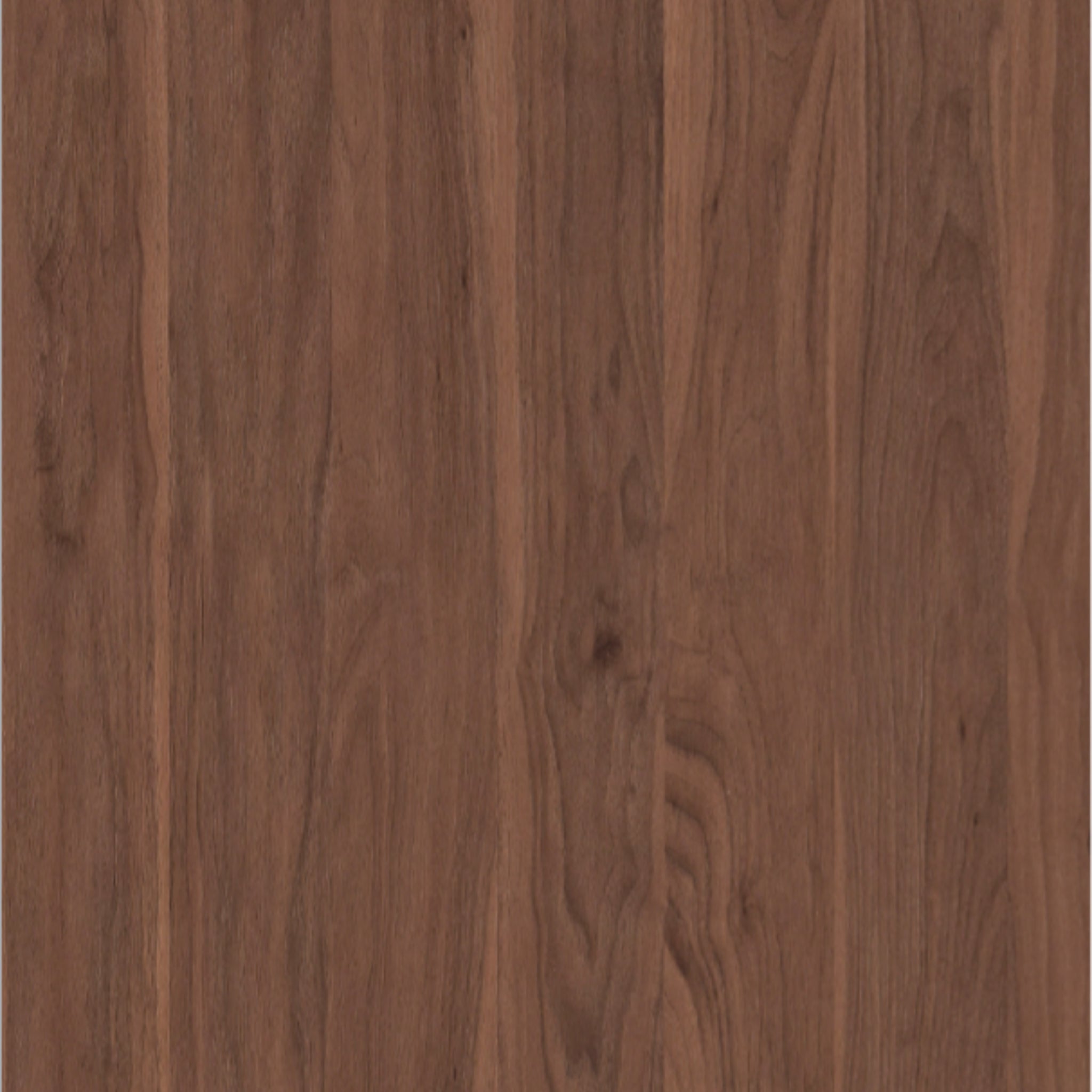 Walnut Rich Wood Sample