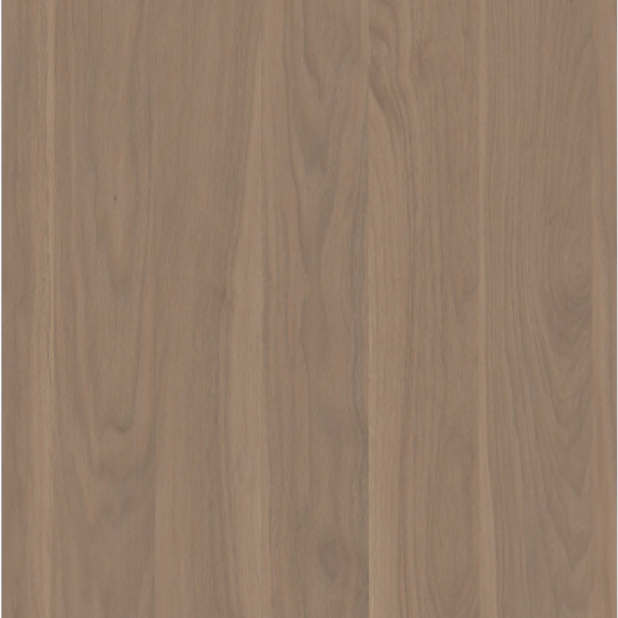 Walnut Smoke Wood Sample